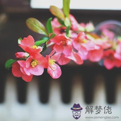 你現在是真沒桃花OR不敢愛？