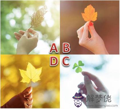 這個夏天你會遇見怎樣的小確幸？