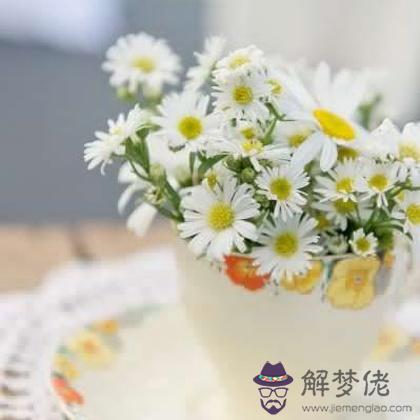 農歷十二月你在哪里能遇見幸運