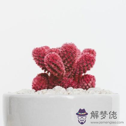 測2019年4月份誰是你的幸運錦鯉