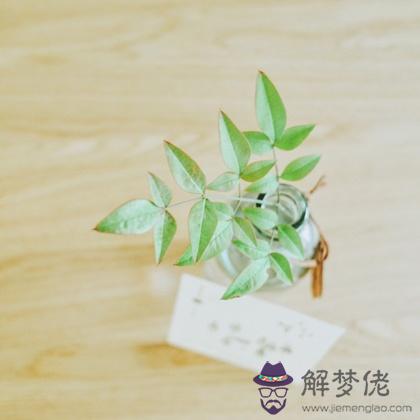 新的一年，你會收獲怎樣的驚喜？