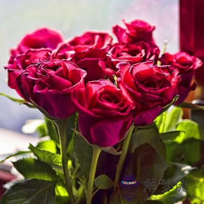 七夕前后，你脫單的成功率多高？