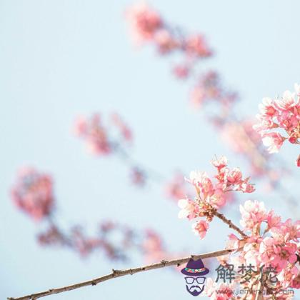 018為桃花集贊你該往哪下功夫？"