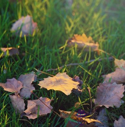 1月你會面臨什麼新壓力？"