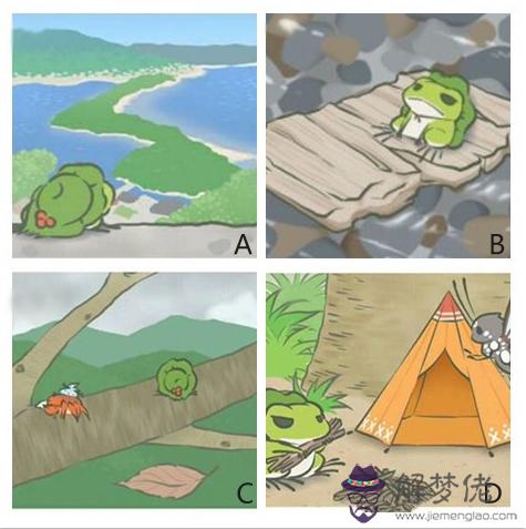 別養蛙了,測測你適合養什麼寵物?