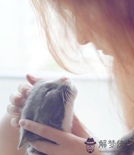 別養蛙了,測測你適合養什麼寵物?