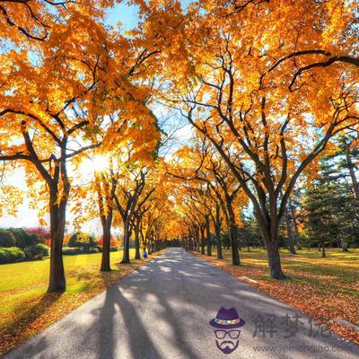 017秋天你將有怎樣的好運?"