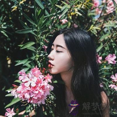 最近你的桃花是開了還是謝了?