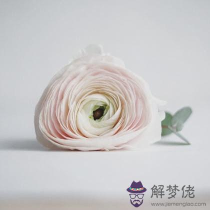 必進!測測2020你的愛情甜蜜指數