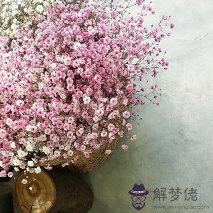 這個春天你的愛情能否如愿以償？