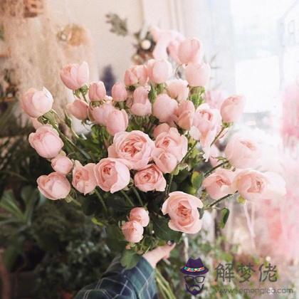 你下一段感情會不會在春天萌芽？