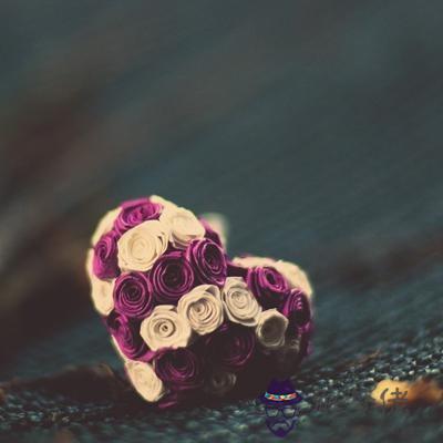 現在的你是否徹底放棄愛情了呢？