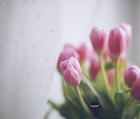 019年你的愛情能開花結果嗎？"