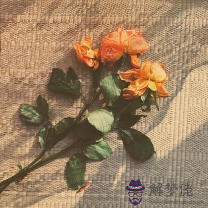 你喜歡的他會不會悄悄三心二意？