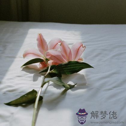 什麼情況下你會毅然與戀人說分手？