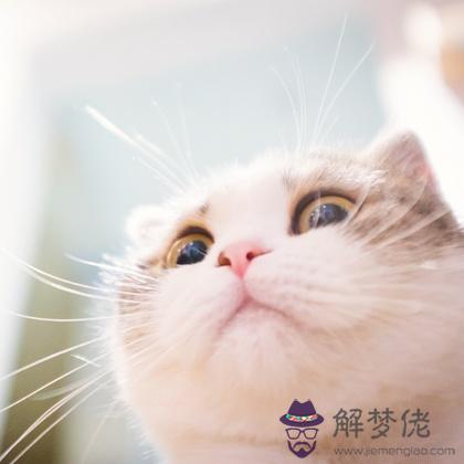 人緣小測試，你是人見人愛花見花開的小可愛嗎？