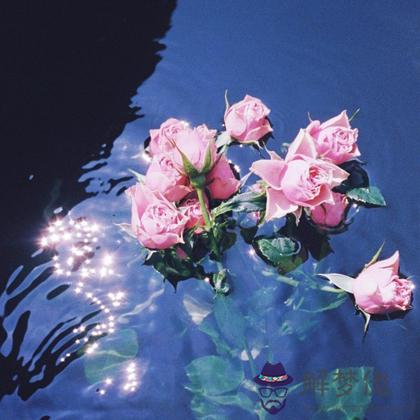 愿為你摘月亮的人下半年會出現？