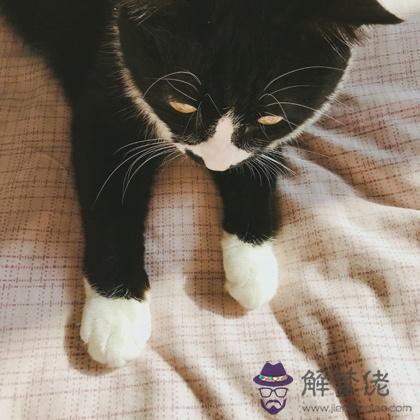 你的男朋友能否實現對你的承諾？