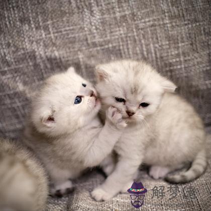 人緣測試：大家私底下怎麼議論你