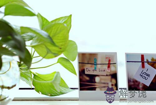 測測你那一頭熱的愛情有沒有希望