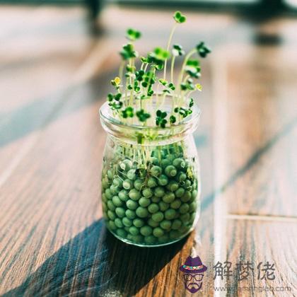 測測你還要空窗期多久?