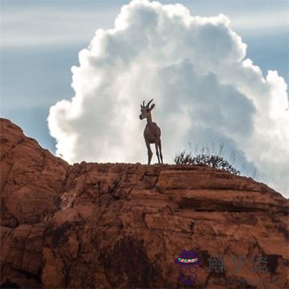 測測你心理有多成熟，誰不是個寶寶