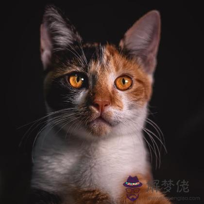 幫你認清你的性格優勢是什麼，測過都說準