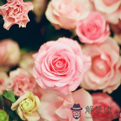 新一年你的愛情會不會有起色呢？