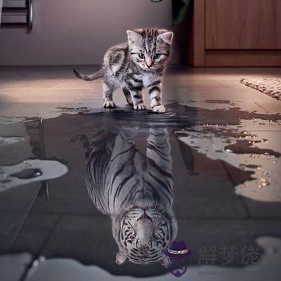 你的內心困住著怎樣的野獸？