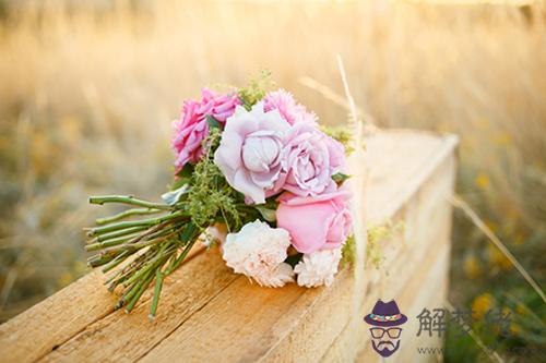 018一月你的桃花運好不好？"