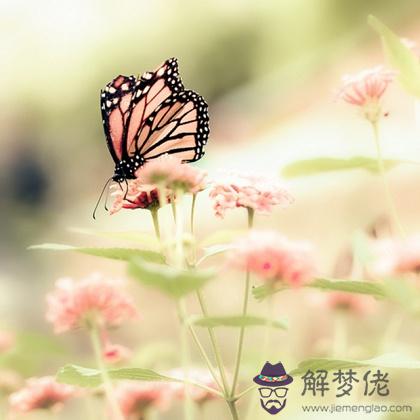 置身于蟲類世界，你會成為什麼？