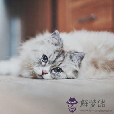 你內心的“喪”指數會很高嗎?
