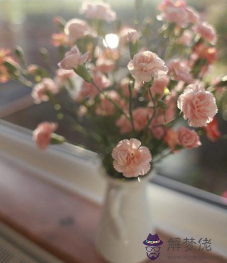 鮮花測試：你在感情里所存在的弱點