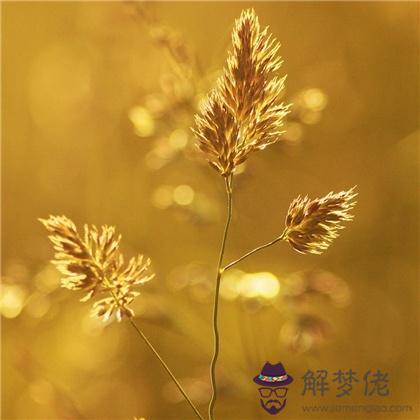 人生艱難,你今年的努力有回報?