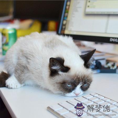 你的自信能否沖破職場天花板?