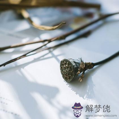 年末，什麼行為會讓你破財？