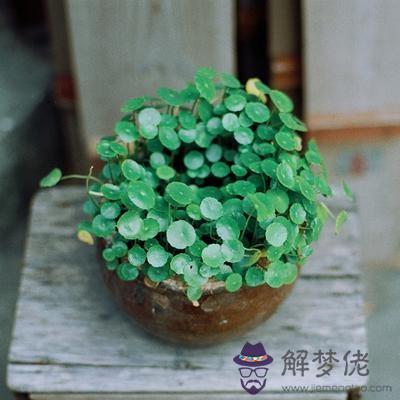 你該如何賺錢才是正確之道?