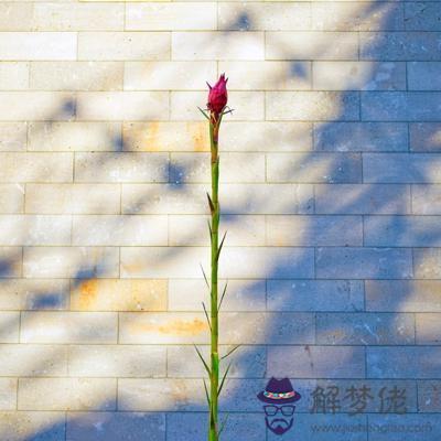 下半年你是否有發亮的錢途？