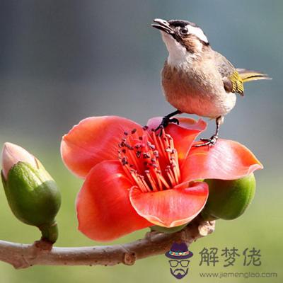 你能得到偏財運的眷顧嗎?