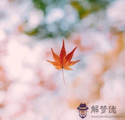 夏末秋初你的財富指數有多少？