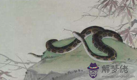 021年屬蛇人和什麼生肖最相配？"
