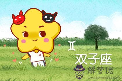 雙子座 雙子座
