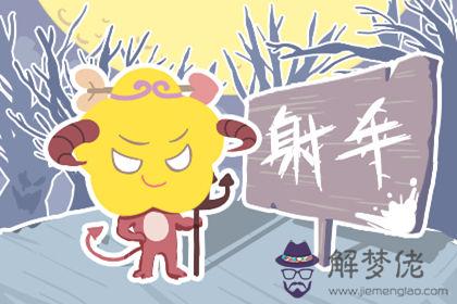 射手座 射手座