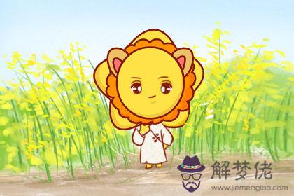 獅子座 獅子座