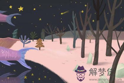 英仙座流星雨今夜迎極大值 幾點開始 觀看地點 英仙座流星雨今夜迎極大值 幾點開始 觀看地點