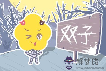雙子座 雙子座