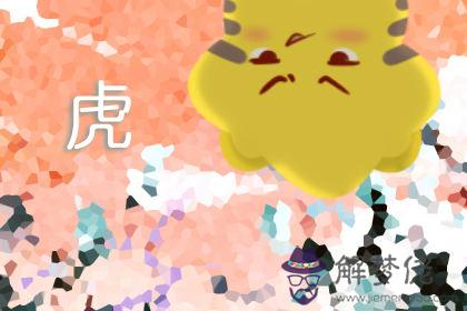 屬虎 屬虎