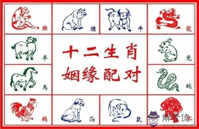 生肖合婚,十二生肖姻緣配對