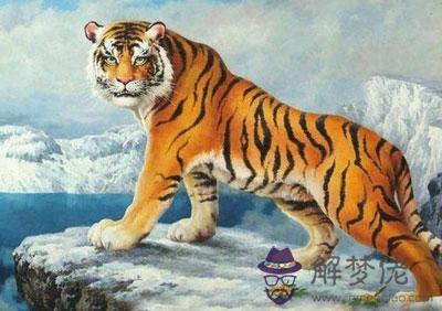 婚后賢惠顧家的三個生肖女 男生們別辜負那個她 婚后賢惠顧家的三個生肖女 男生們別辜負那個她