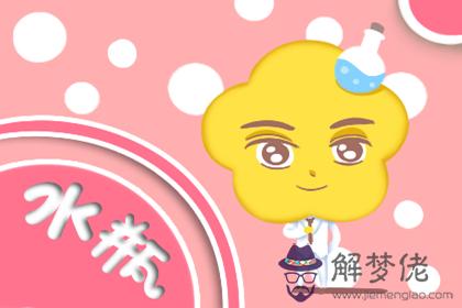 水瓶座 水瓶座